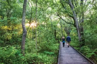 People on walking trail in Corolla surrounded by trees.