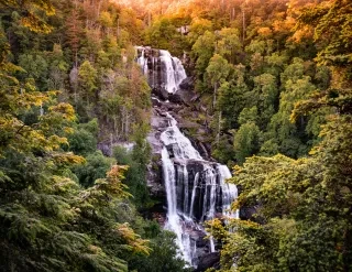 Large waterfall surrounded by bright green trees