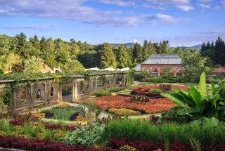 Beautiful blooming gardens at Biltmore Gardens in Asheville.